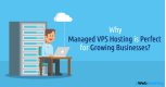 Why Managed VPS Hosting is Perfect for Growing Businesses?