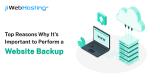 Top Reasons Why It’s Important to Perform a Website Backup